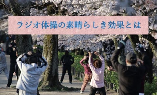 桜の下でラジオ体操をしている人々