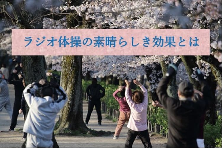 桜の下でラジオ体操をしている人々