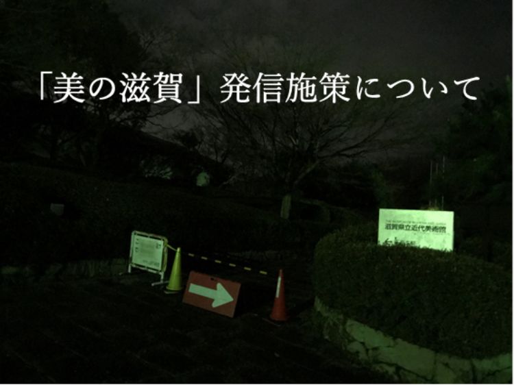 まっすぐと続く絶景の並木道 滋賀県 メタセコイア並木の夜と昼