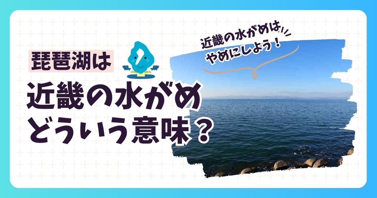 琵琶湖は近畿の水がめ？