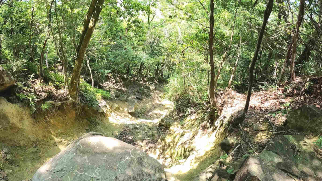 繖峰三神社参道