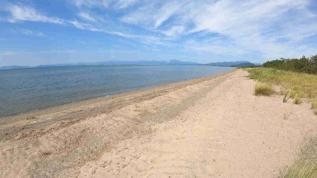 新海浜水泳場